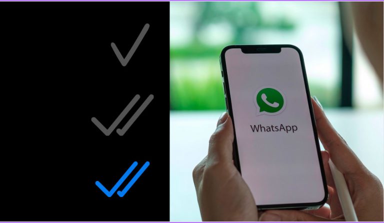 WhatsApp Que significa un tick gris