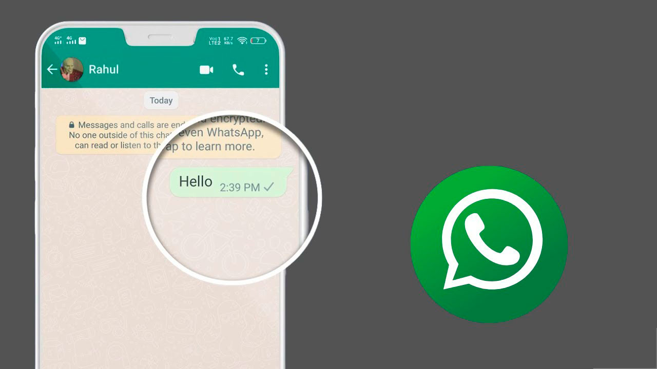 WhatsApp Que signifie une seule coche grise ️