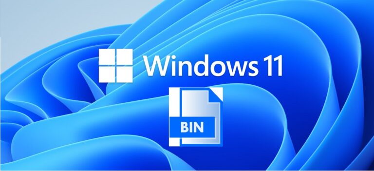 archivo bin windows 11