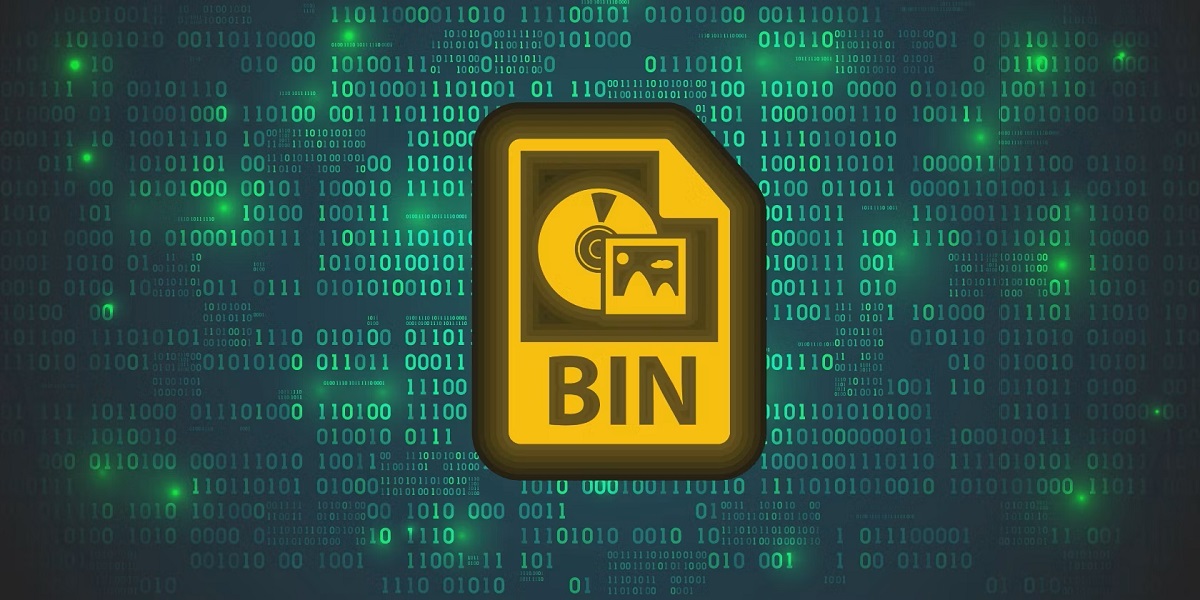 what is a bin file