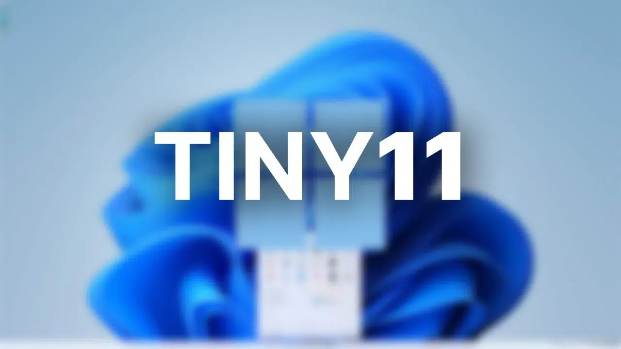 TINY11