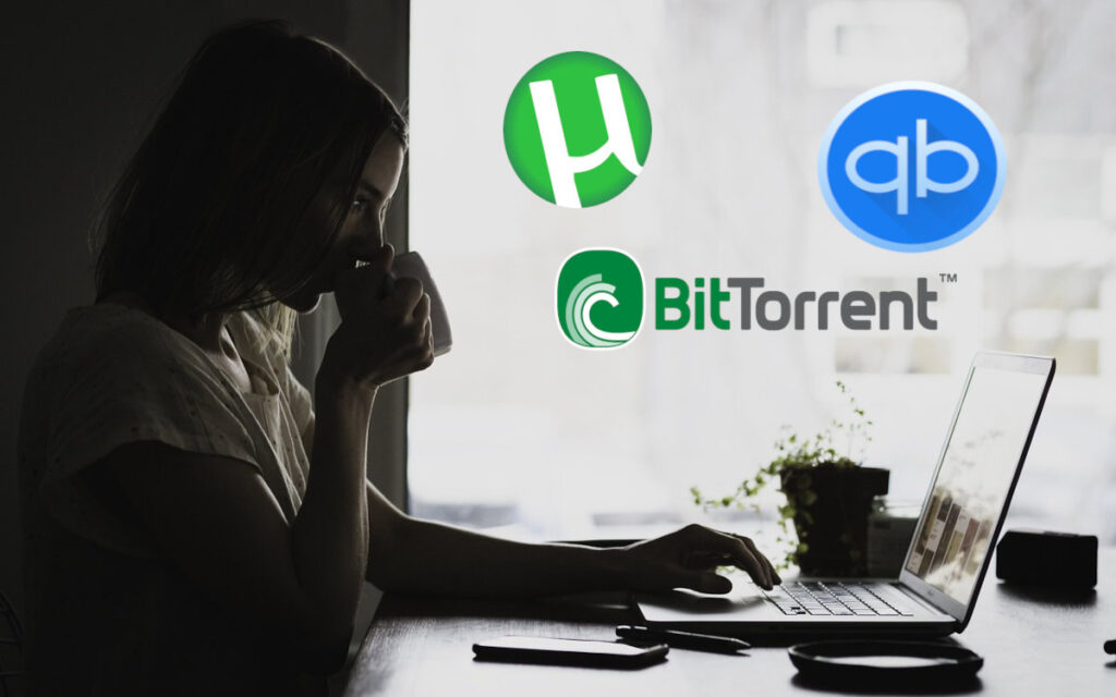 Cómo ocultar tu IP al usar torrents