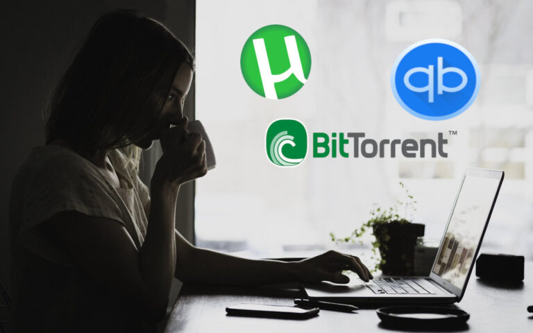 Cómo ocultar tu IP al usar torrents