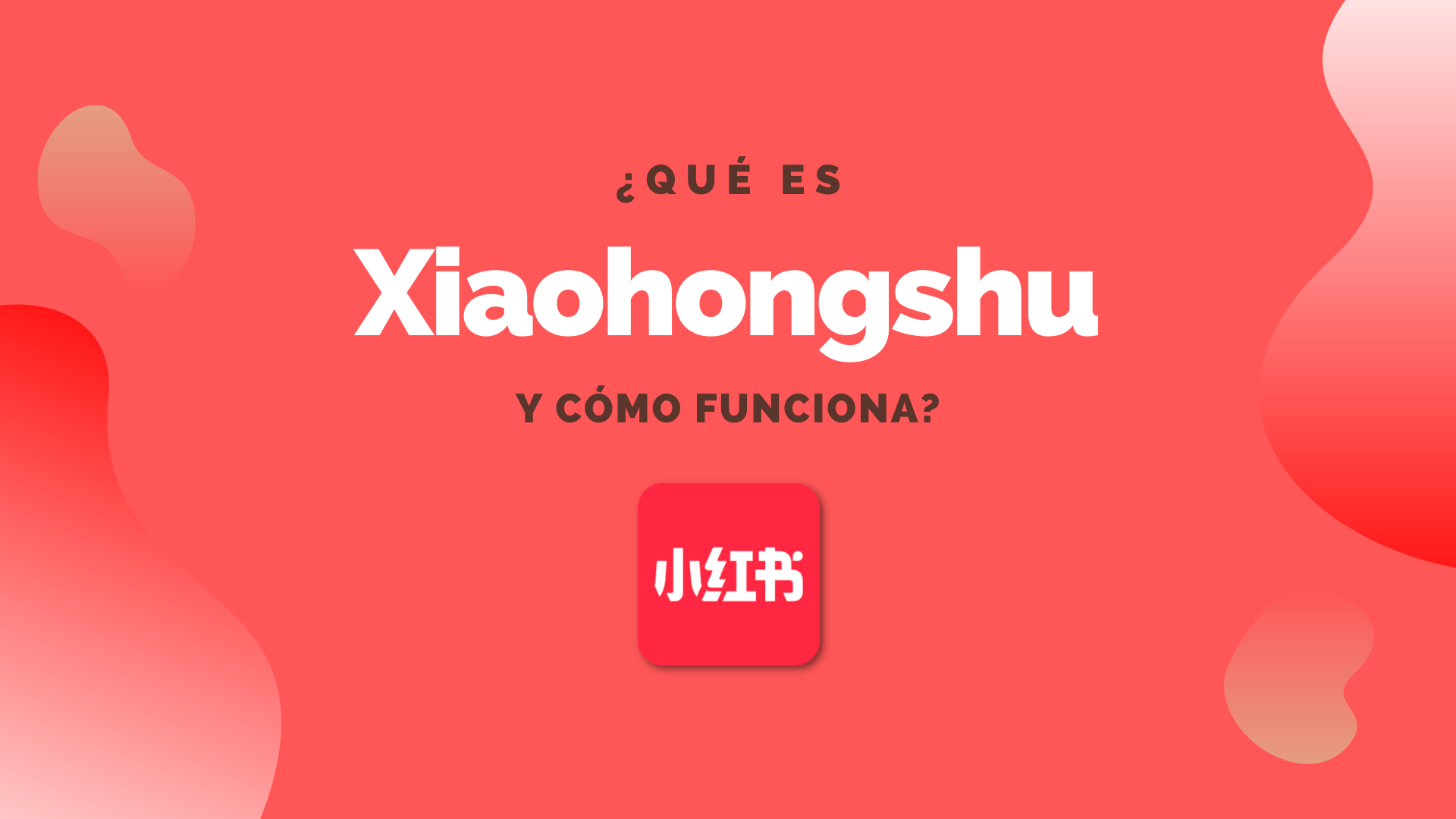 Características Xiaohongshu