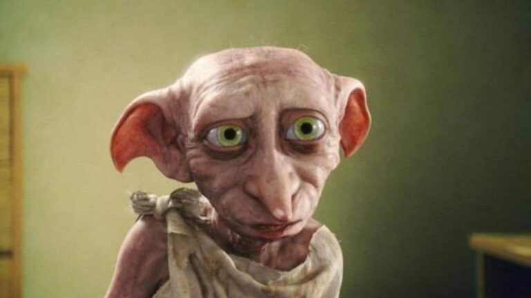 serie harry potter dobby