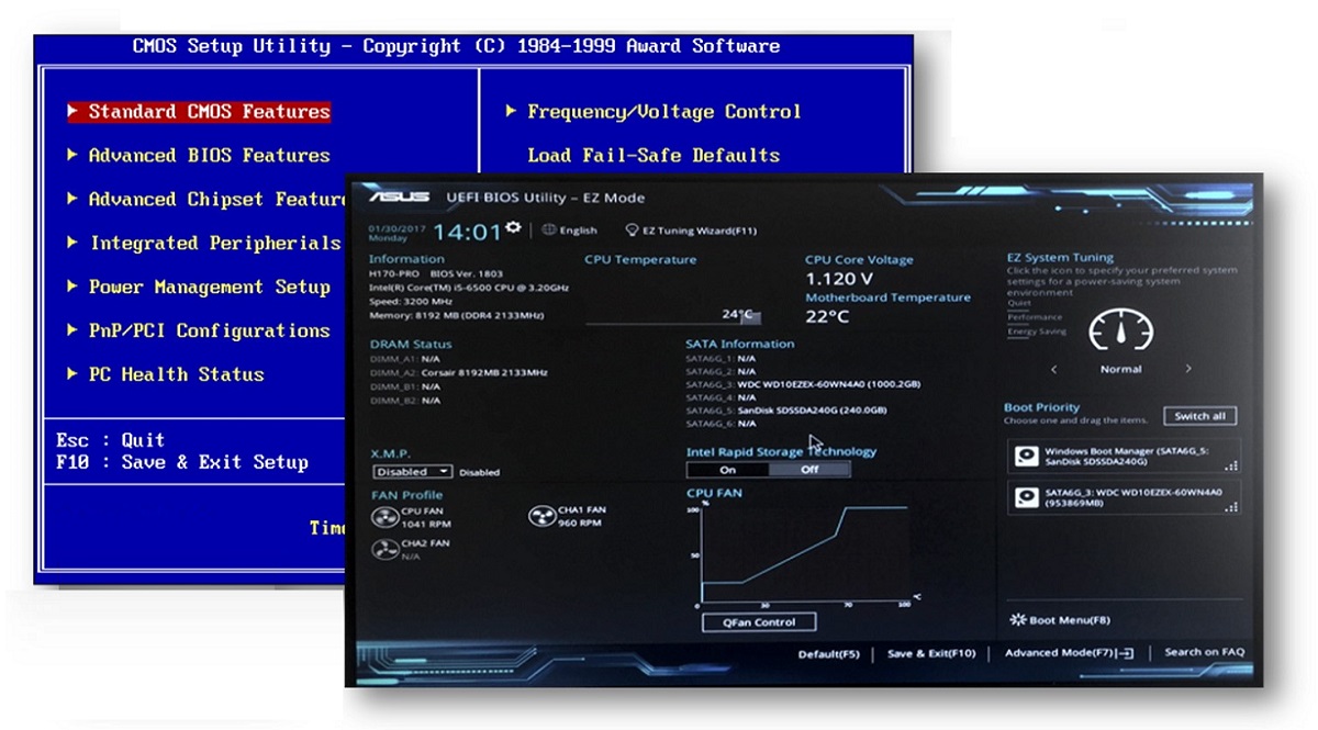 tipos de bios