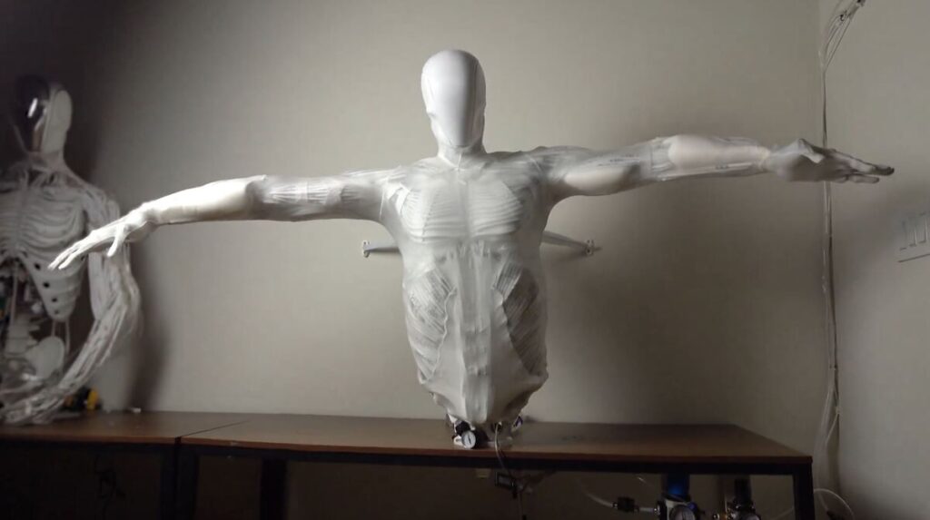 Protoclone: der fortschrittlichste humanoide Roboter mit Muskeln und ...