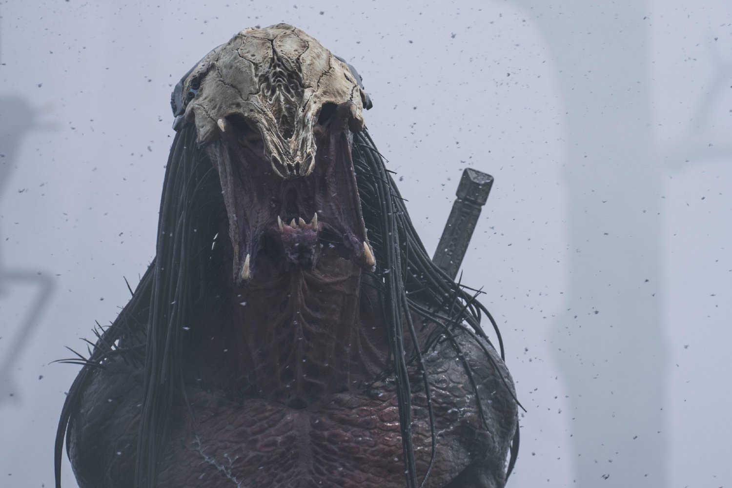 Nuevo diseño del Depredador en Badlands