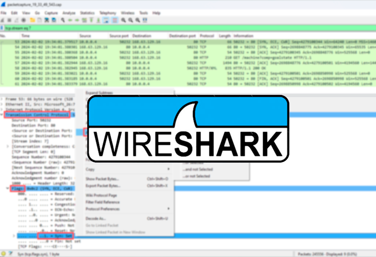 Cómo usar Wireshark