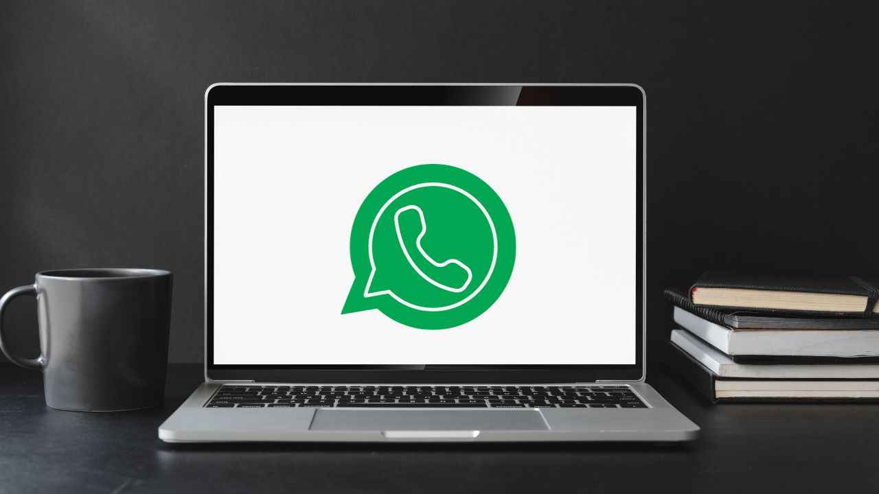 Vista previa centro multimedia WhatsApp