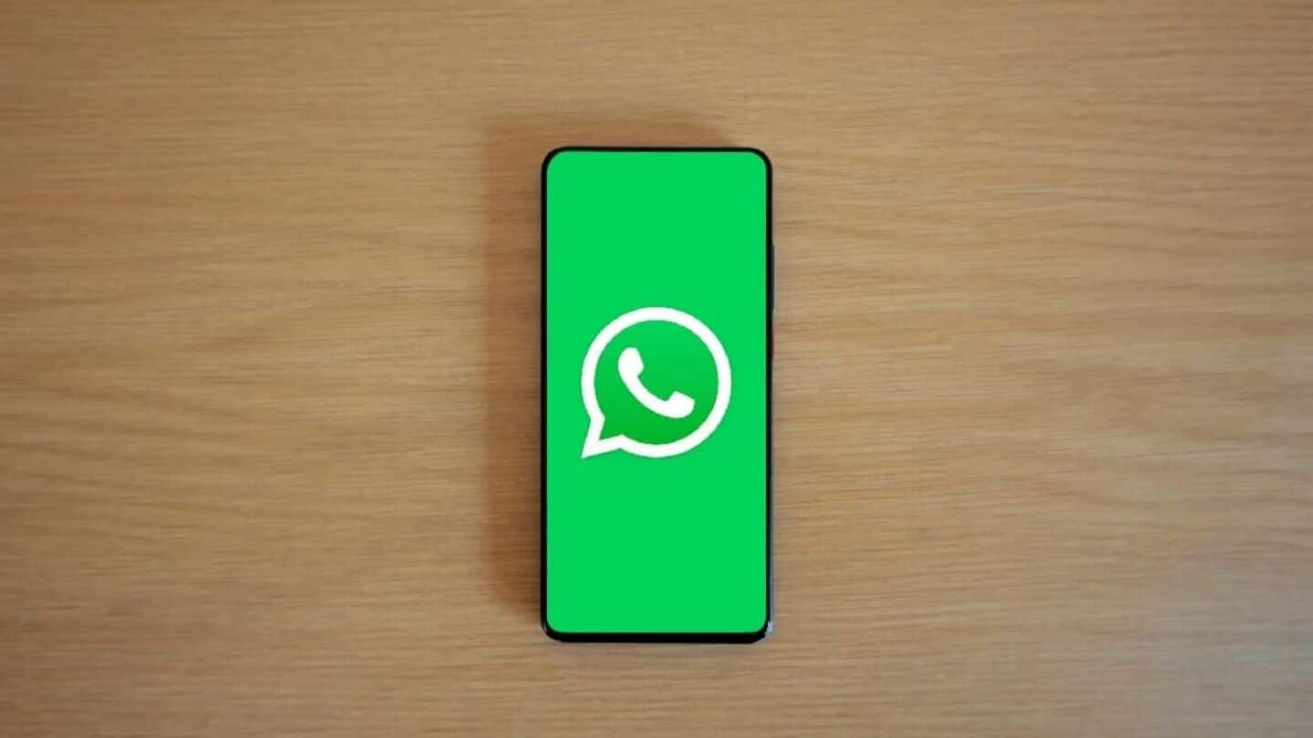 WhatsApp Chat Media Hub-4