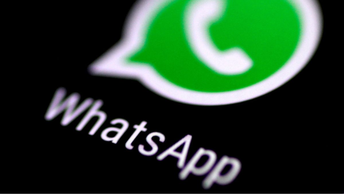 WhatsApp Chat Media Hub-5