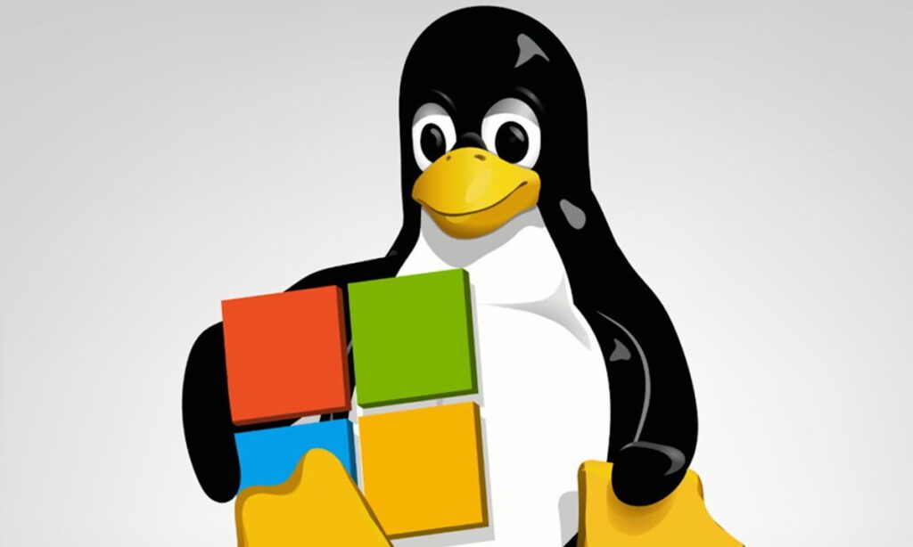 Windows para Linux código abierto-2