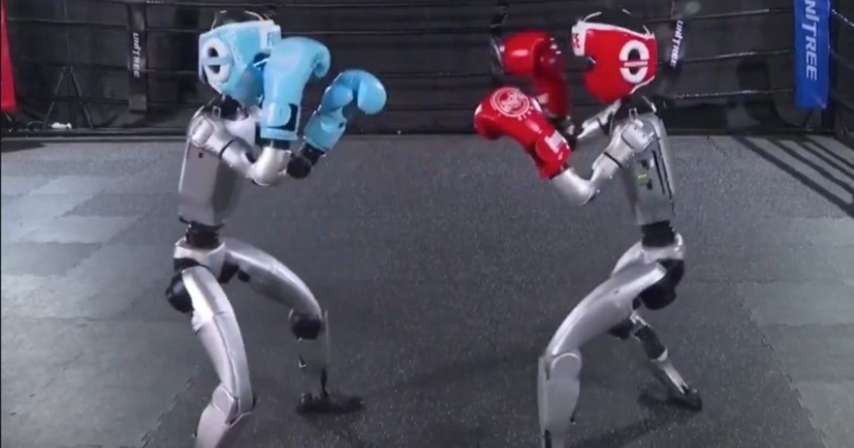 torneo robots humanoides boxeo