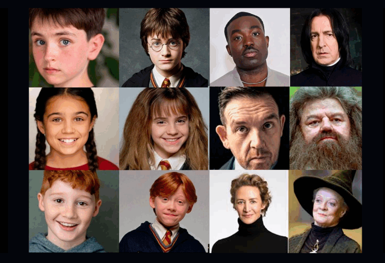 New cast members for the Harry Potter HBO Max series