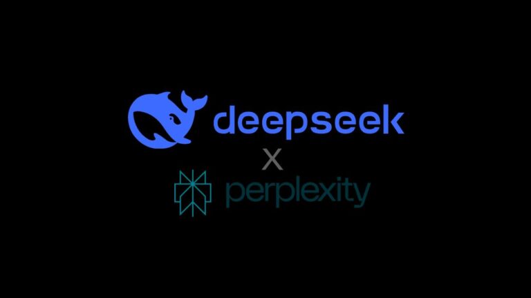 deepseek1 en perplexity-0