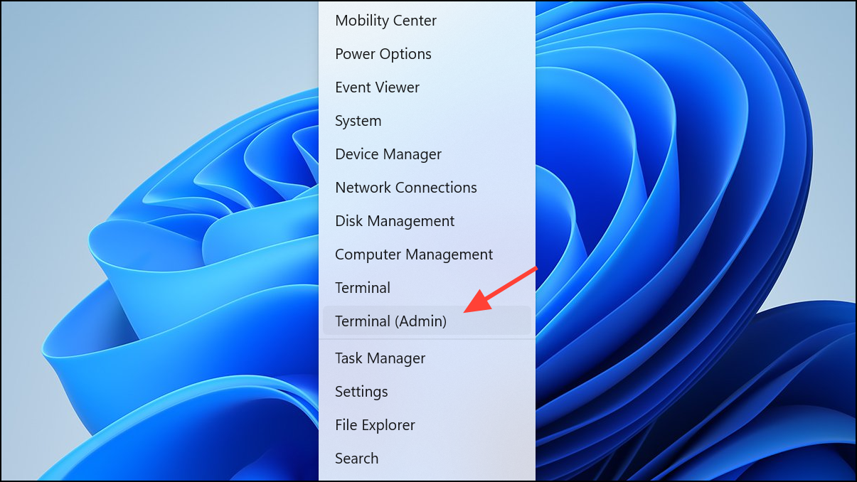 solucionar el error 0x803F8001 en Windows 11