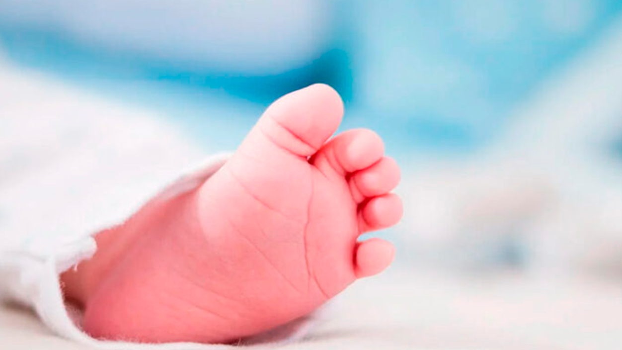 Bebe hijo de 3 padres