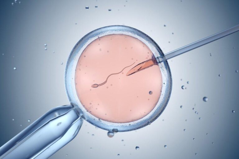 bebes mitocondria