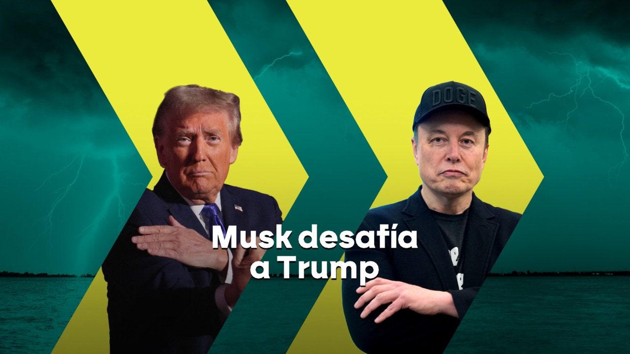 Musk Partido Político Estados Unidos