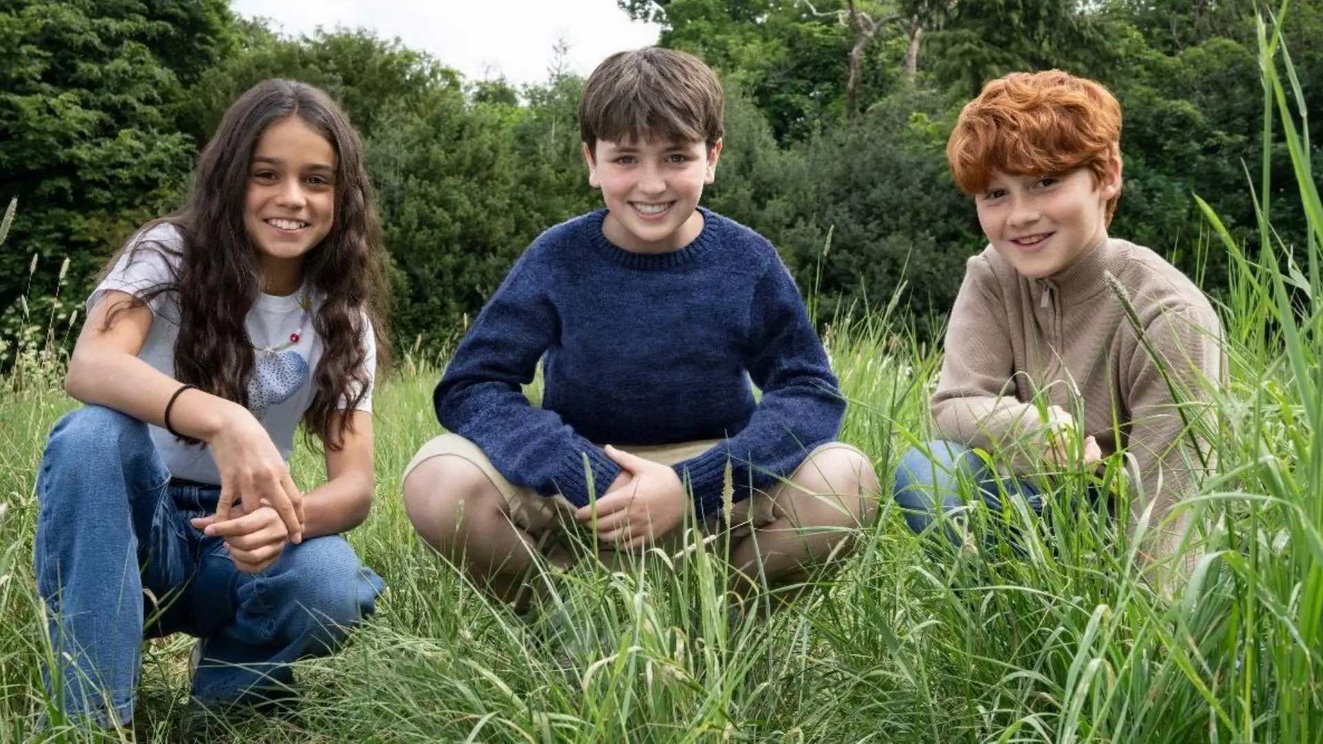 equipo harry potter