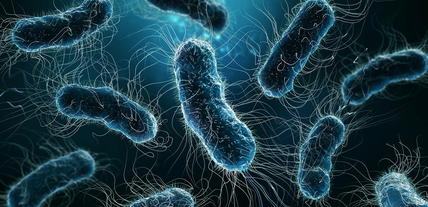 superbacterias