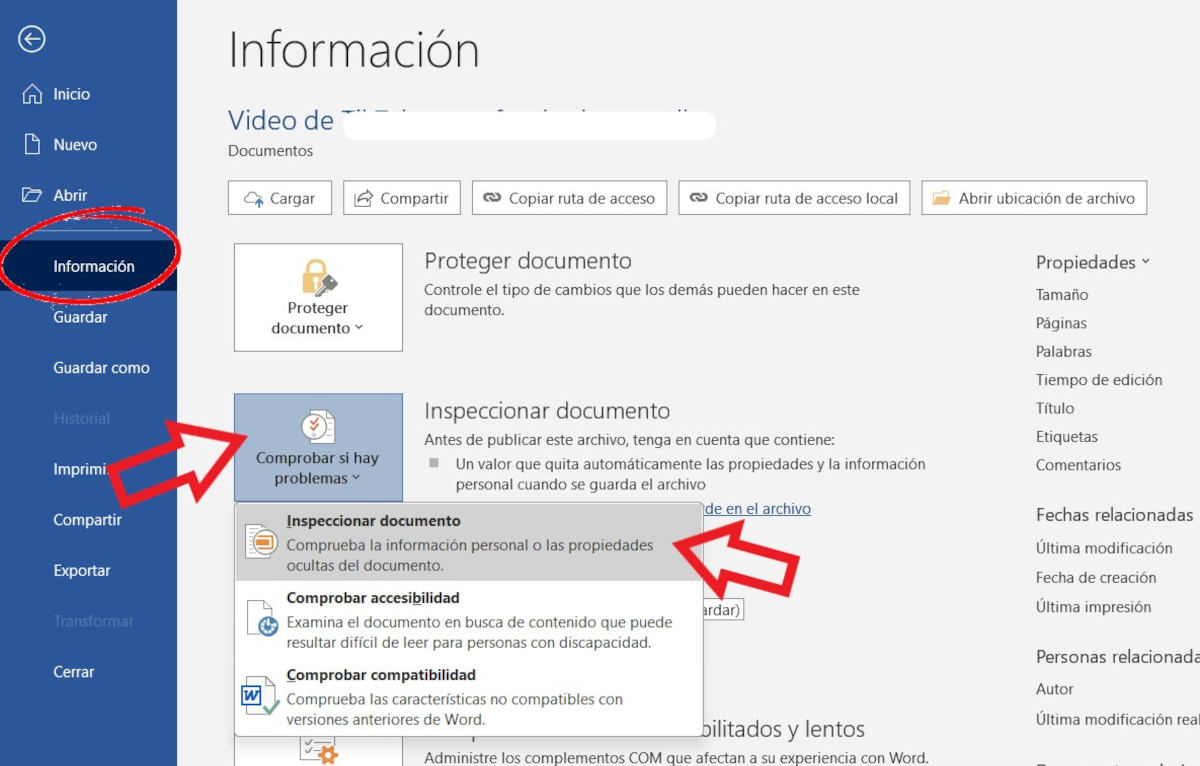 Inspector de documentos Word