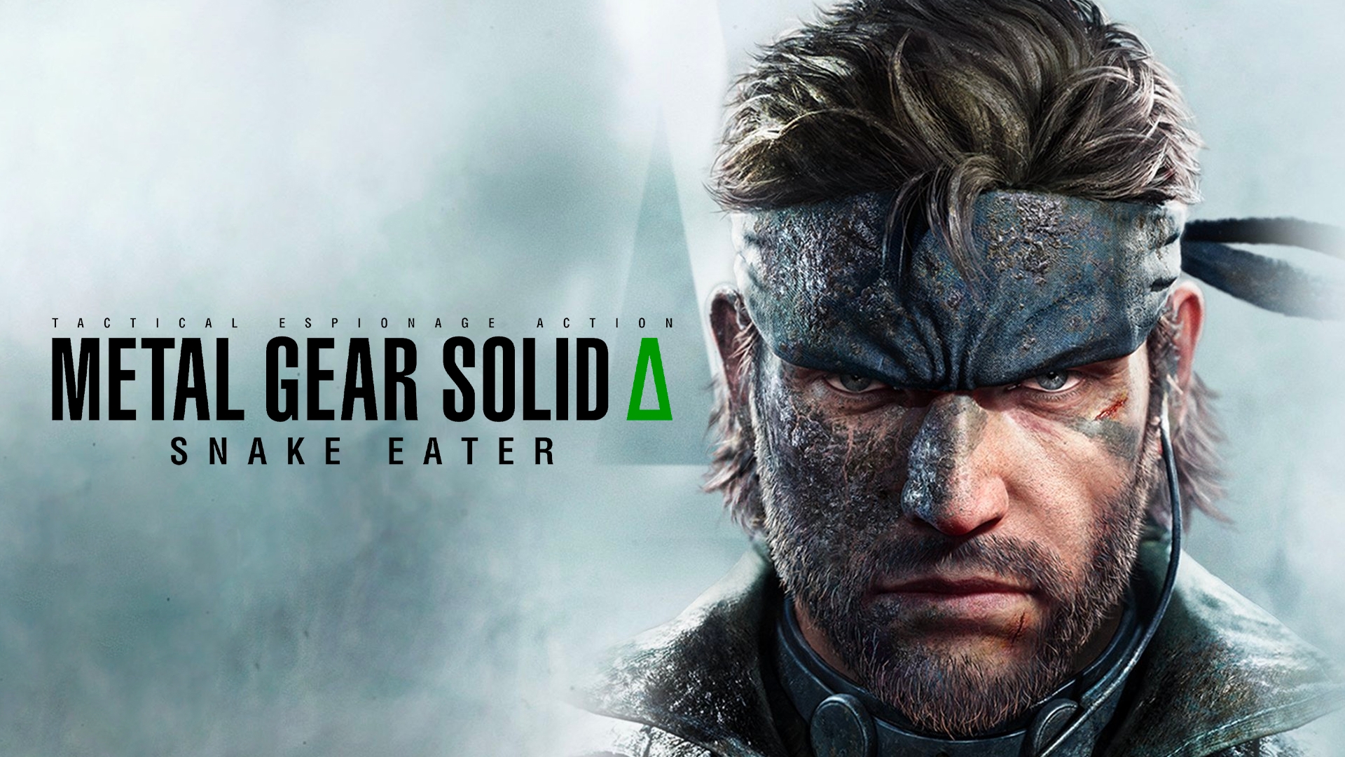 mgs delta