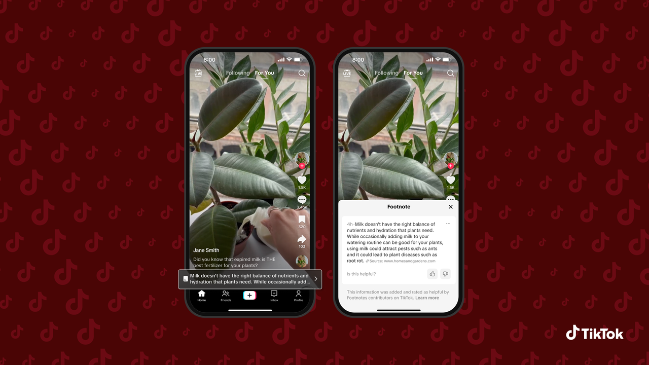 notas al pie en TikTok