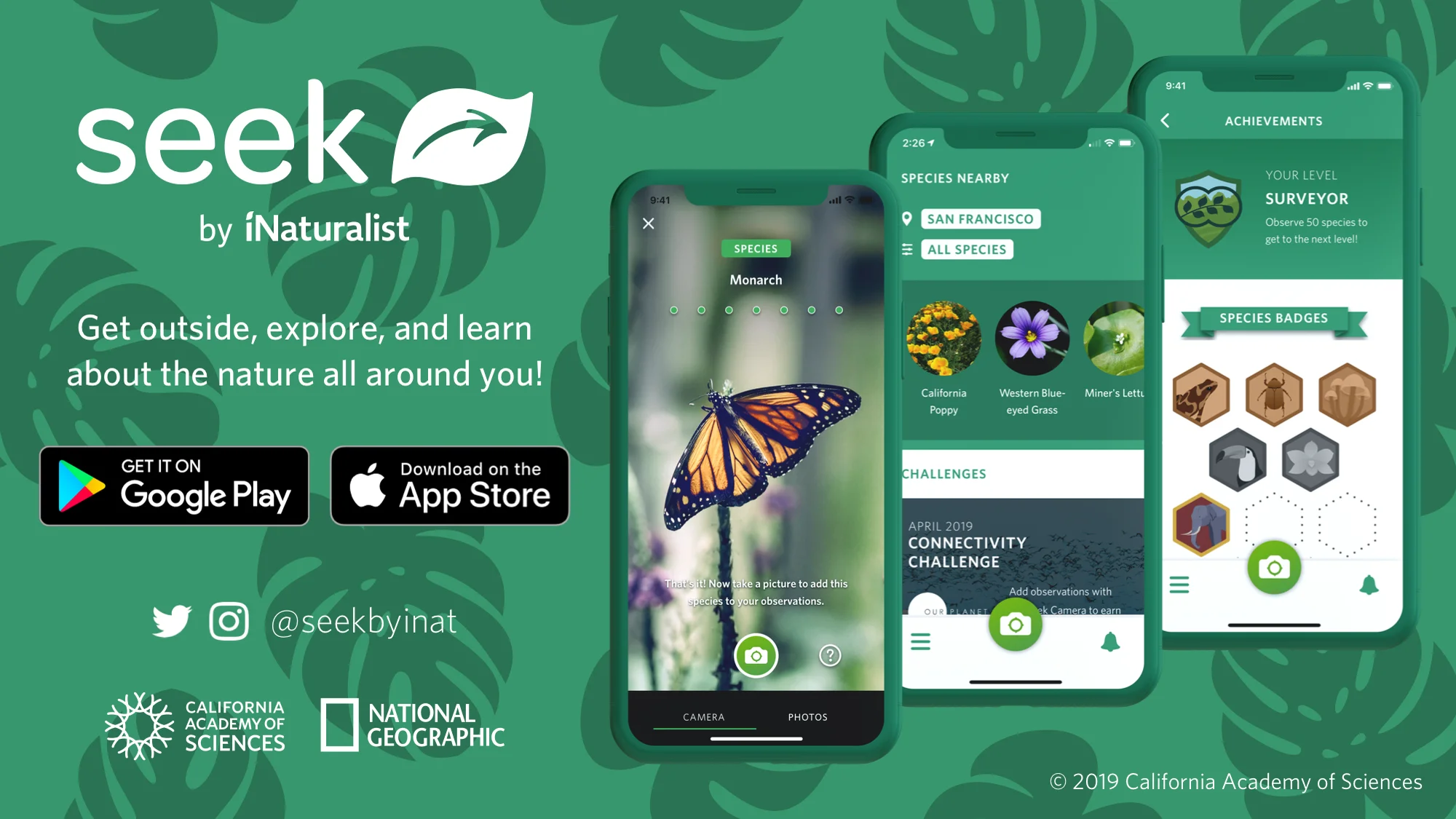 app Seek