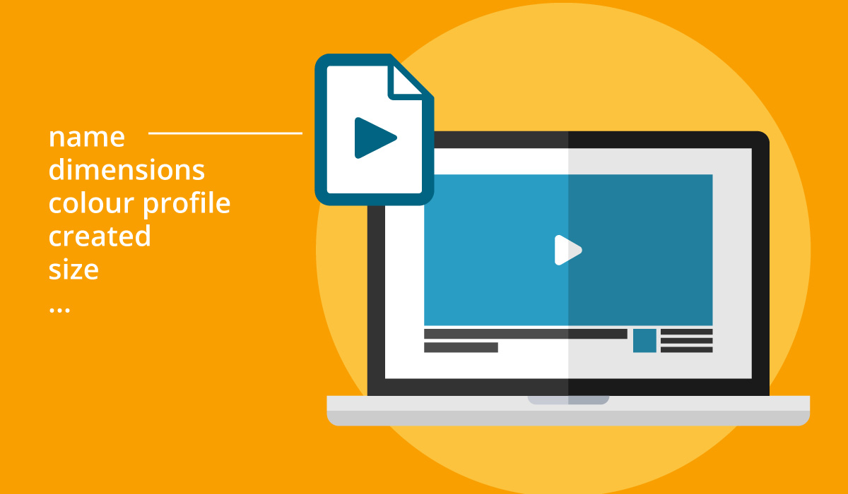Removing Metadata from an MP4 Video: A Complete Guide