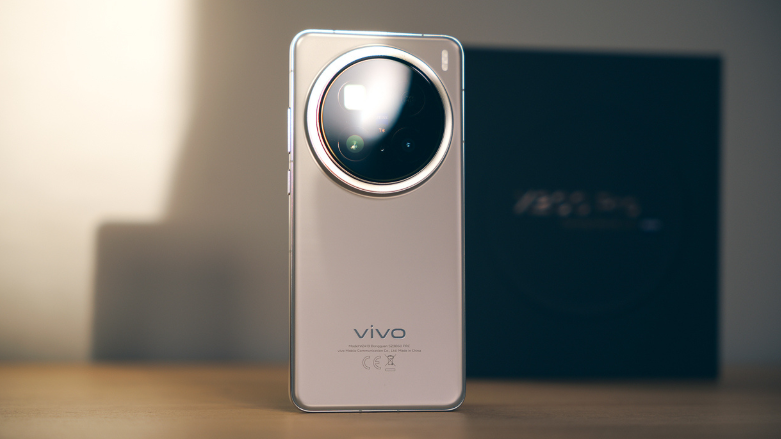 Vivo X300