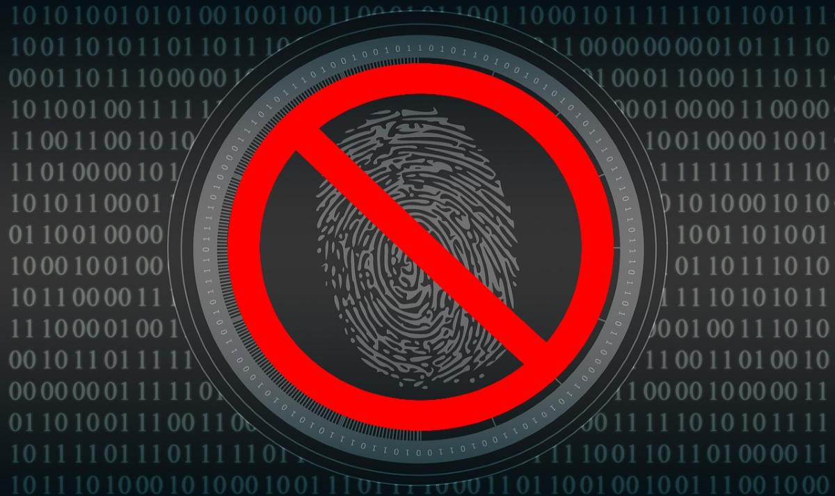 Windows 11 no acepta tu huella administrador