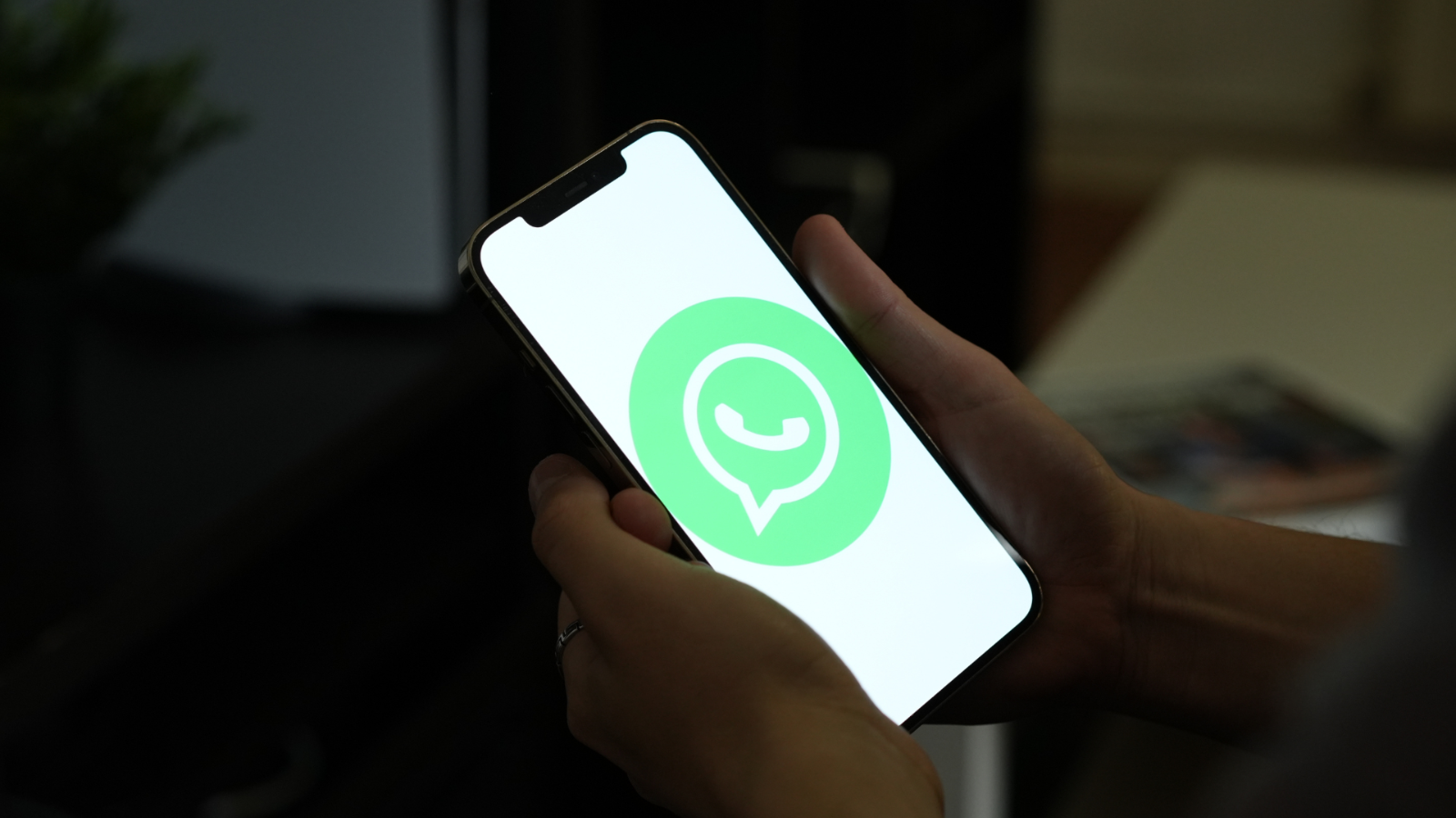 Privacidad de Estados de WhatsApp