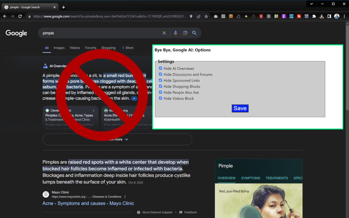 Extensión Bye Bye, Google IA