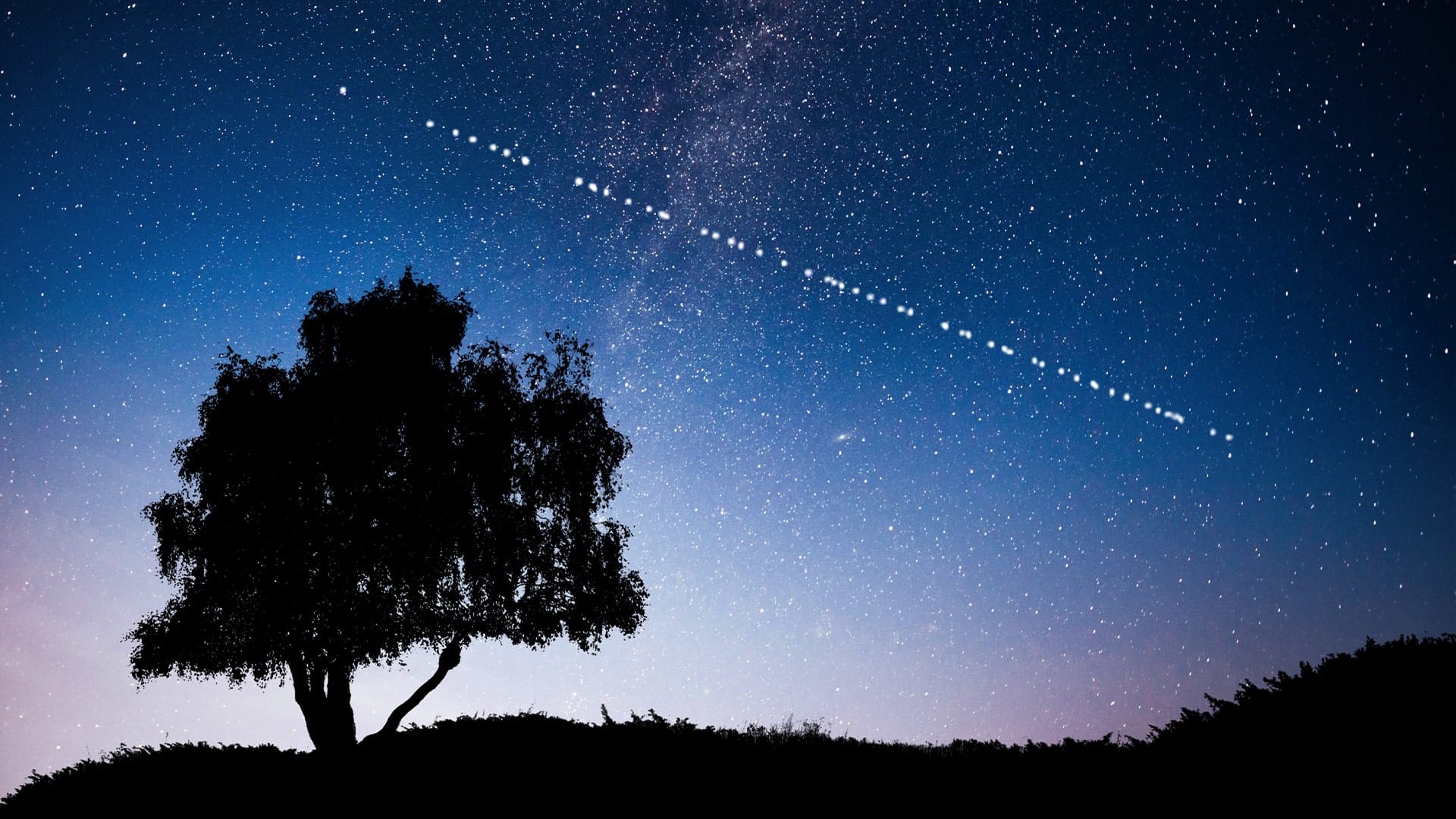 Starlink