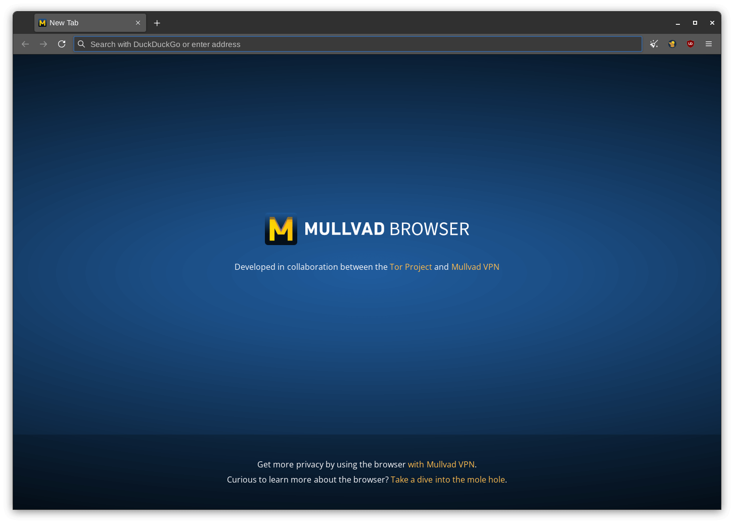 Interfaz Mullvad Browser