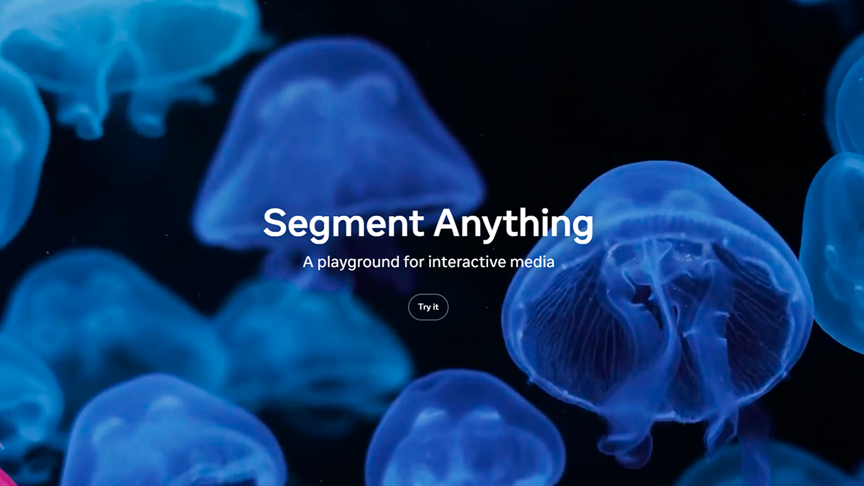 Segment Anything Playground