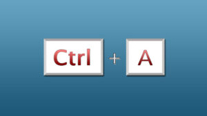 Select all in Windows 11: shortcut and key methods