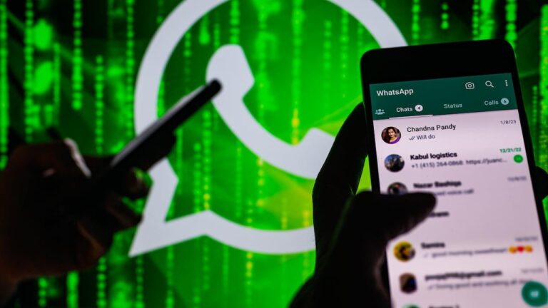 Diferències entre un ID d'usuari i el vostre número de telèfon a WhatsApp: què podreu veure cada persona