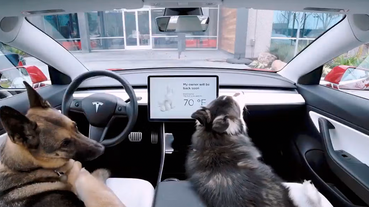 Dog Mode tesla