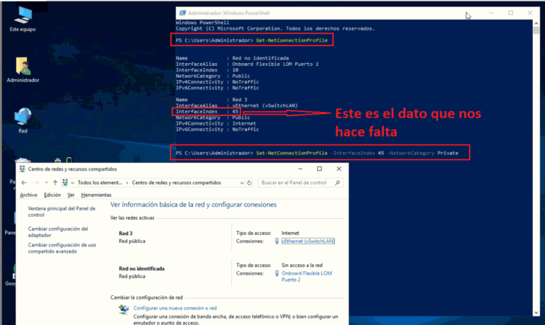 Windows bloquea accesos locales creyendo que es red pública