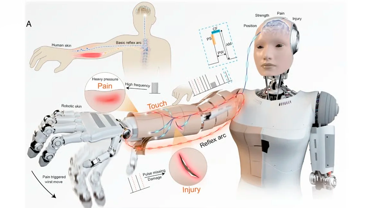 robots ia que sienten dolor
