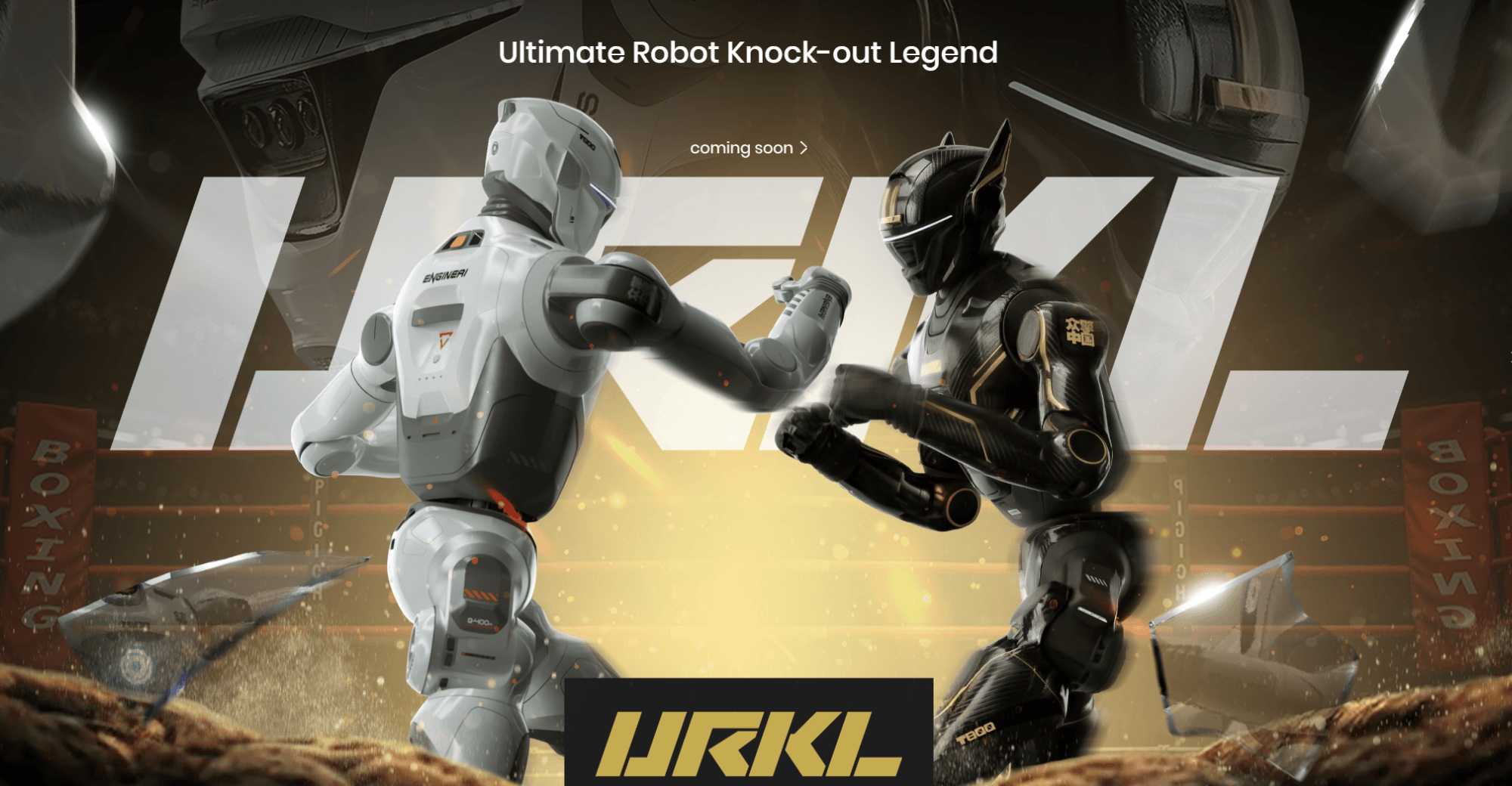 Ultimate Robot Knockout Legend