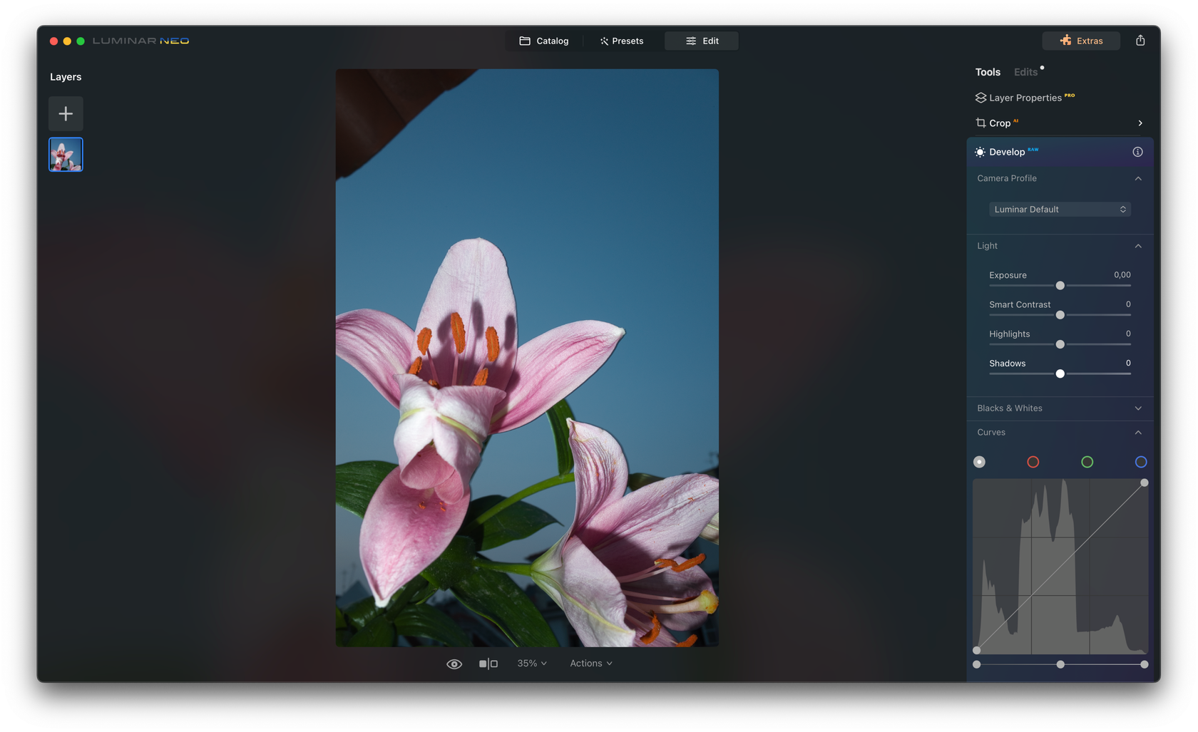 abrir archivos .RAW en Windows 11