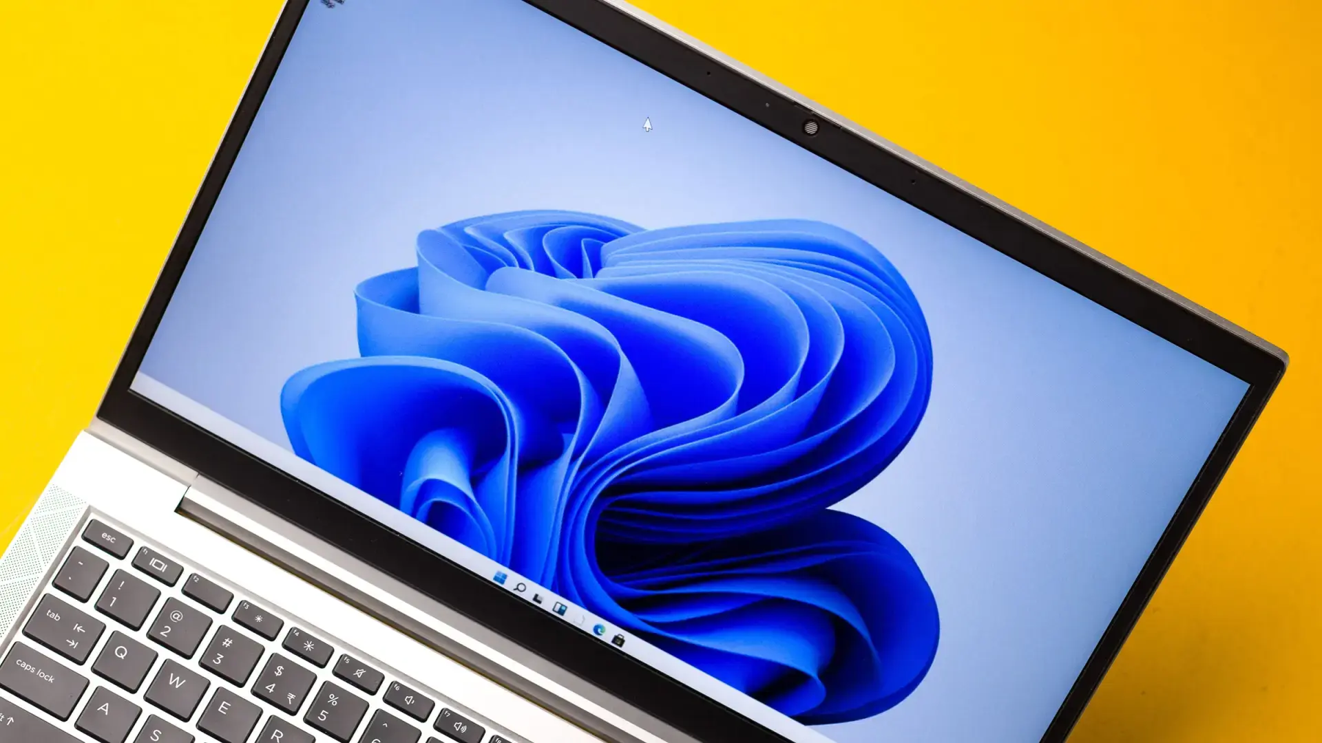 activar el uso compartido cercano en Windows 11
