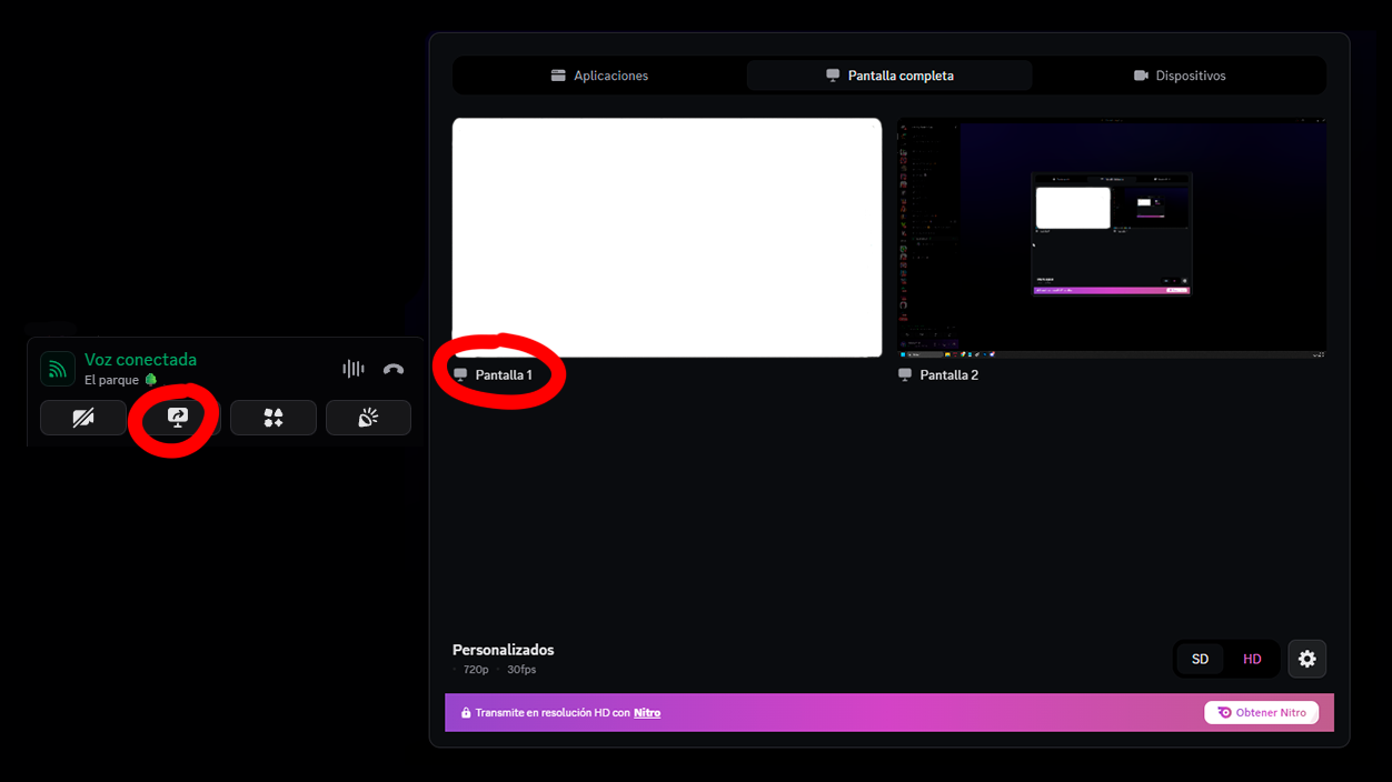compartir pantalla específica en Discord