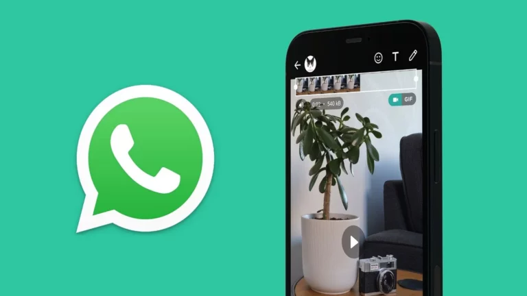 whatsapp video