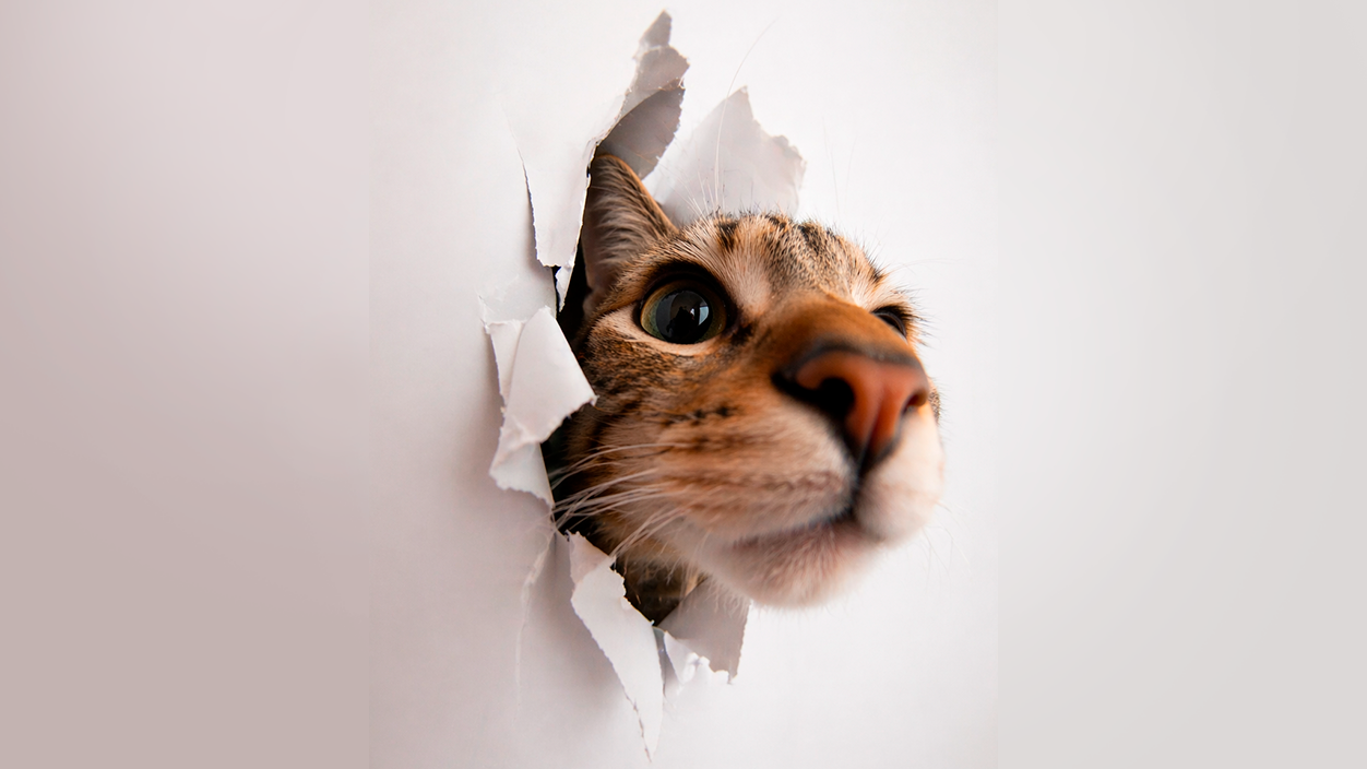 Prompts creativos y artísticos en Chatgpt