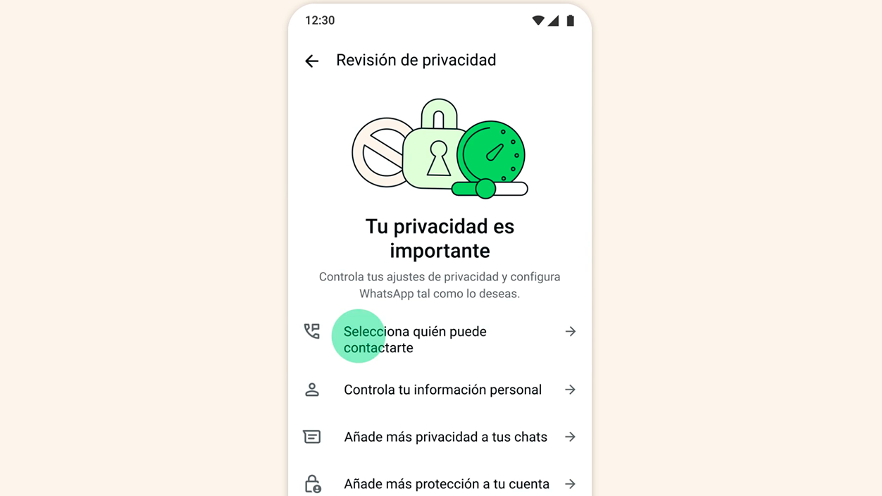 Revisión de privacidad en WhatsApp